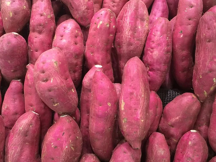 Batata doce ajuda a emagrecer