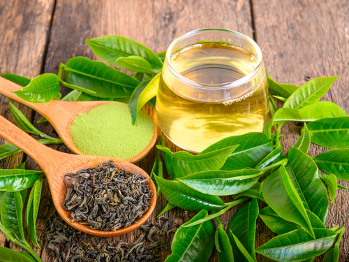 Chá Verde: a bebida oriental da longevidade