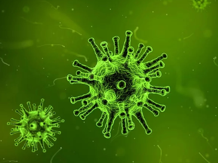 Cresce o número de mortes por H1N1 no Brasil