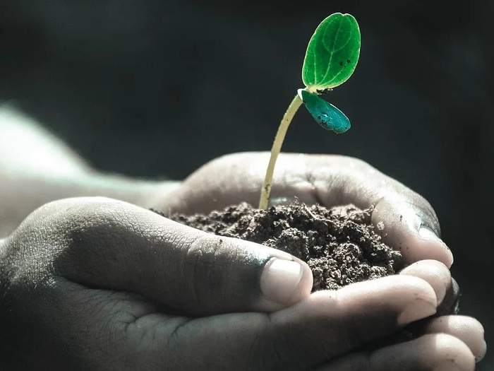 Mesmo cada vez mais consciente, consumidor ainda não se conecta à agricultura