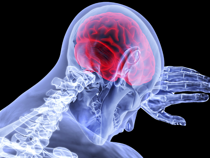 Morte cerebral pode ser revertida?