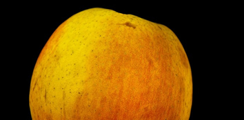 Uvaia, fruta rara de ser encontrada nos mercados