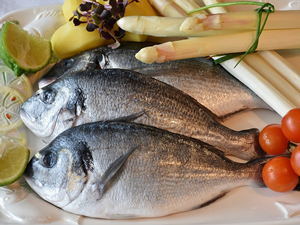 Nutrição paleolítica