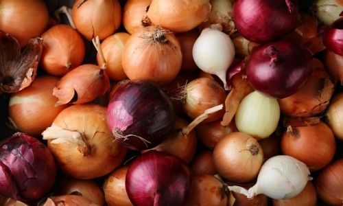 Cebola mágica!