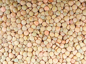 Lentilhas contra a anemia