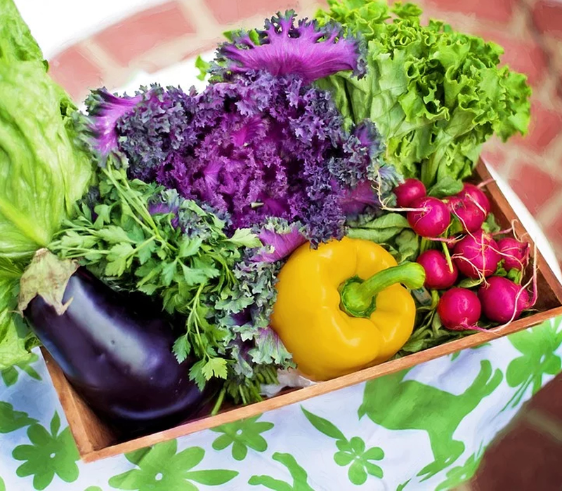 Tabela nutricional: aprenda a ler para garantir a qualidade do produto comprado
